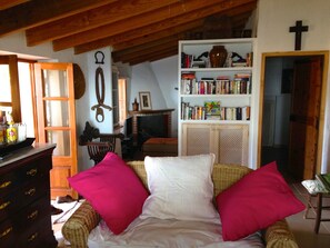 Älytelevisio, takka, DVD-soitin, kirjoja