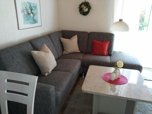 TV, DVD player, video library, stereo