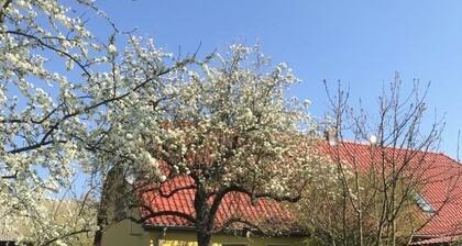 Vacation room Apfelbaum at the Hollerhof-Oderbruch