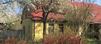 Vacaciones en el Hollerhof en Oderbruch