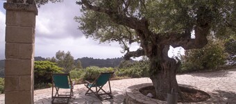 Country House in olive grove with stunning sea views