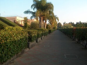 Property grounds