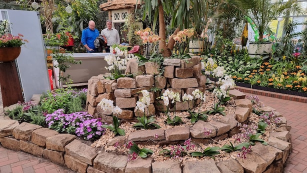Ein Garten mit einem Steinbrunnen, verschiedenen Blumen und einer hölzernen Struktur im Hintergrund.
