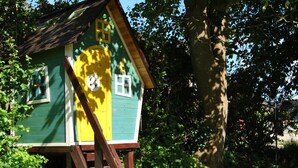 Uma casa pequena de dois andares, com porta amarela e paredes verdes, rodeada por vegetação exuberante e uma grande árvore.
