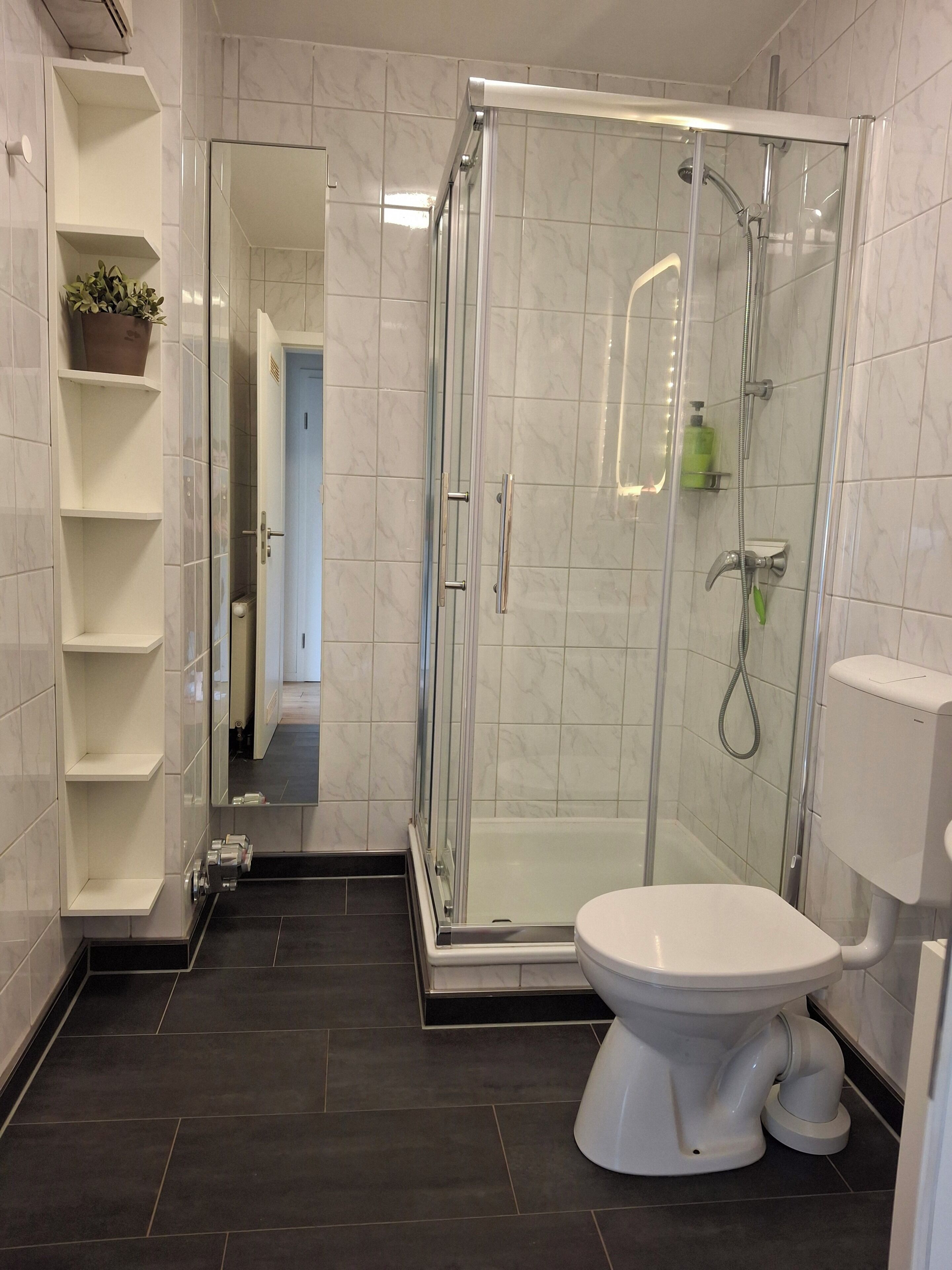Dusche, Haartrockner