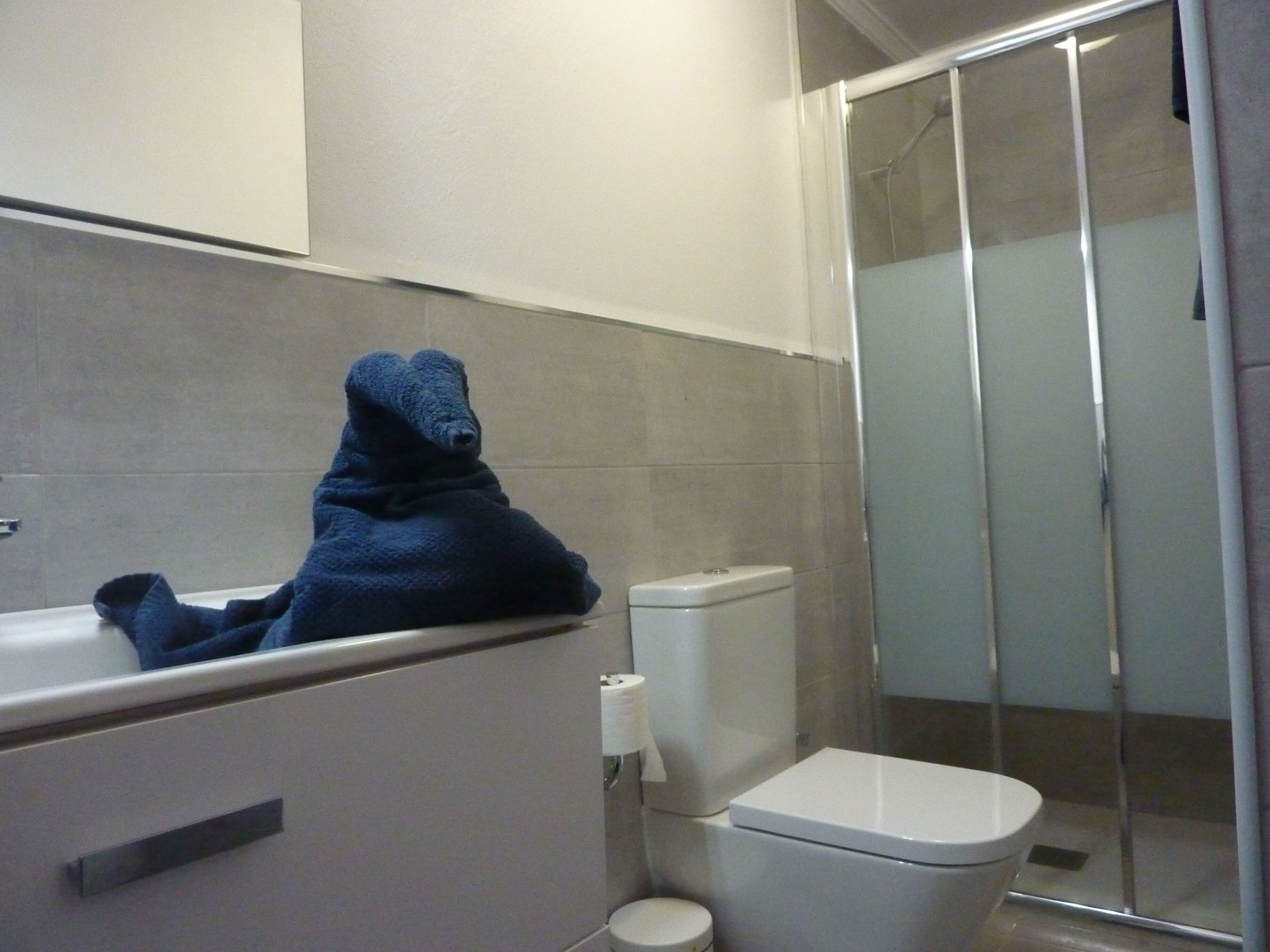 A bathroom with a toilet, a towel, and a shower.