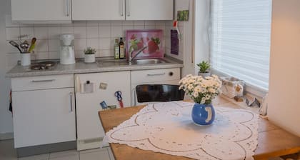 Bright and friendly apartment for 1-2 persons