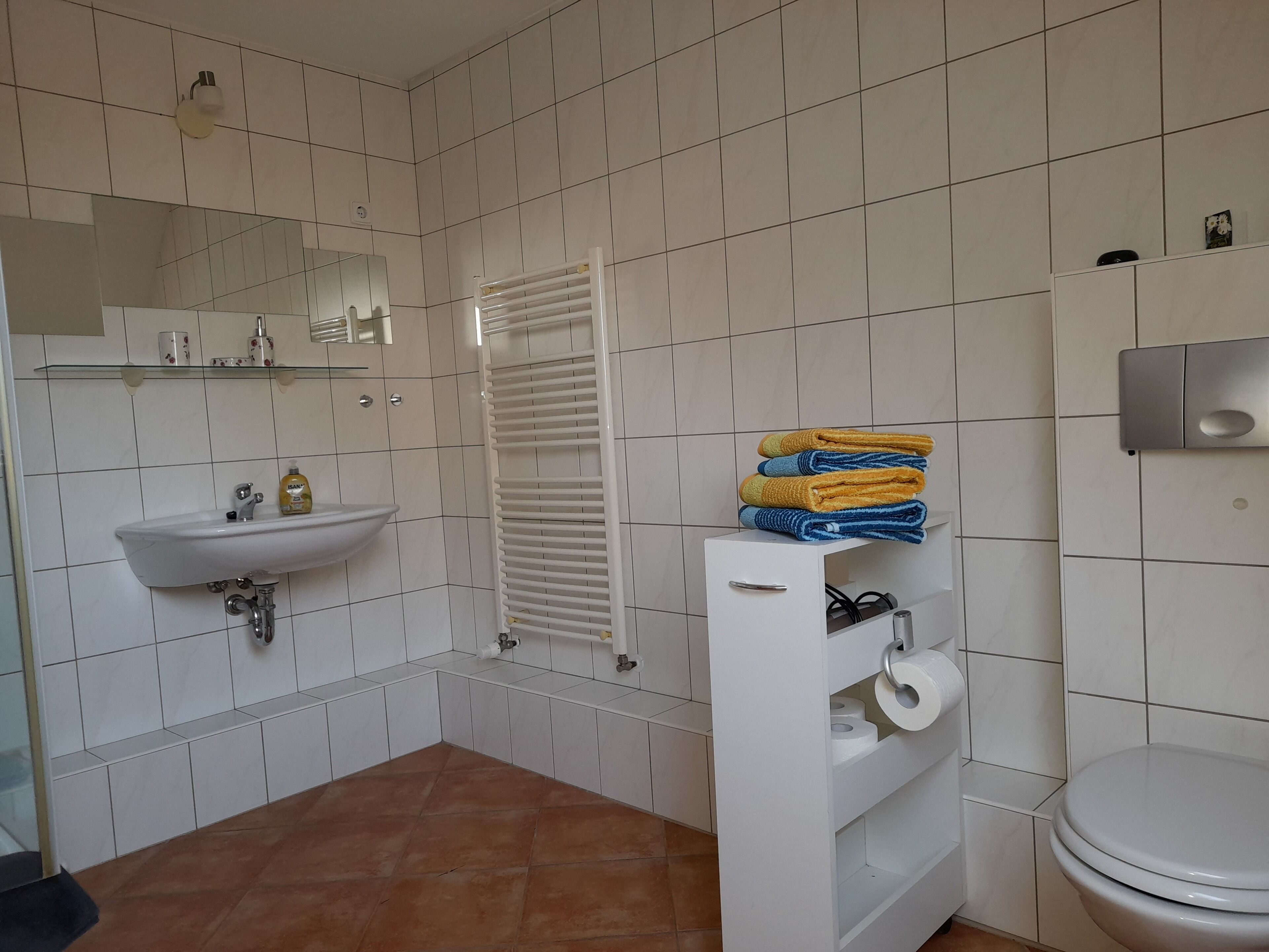 Un bagno con lavandino, specchio, portasci, WC e ripiano con asciugamani.