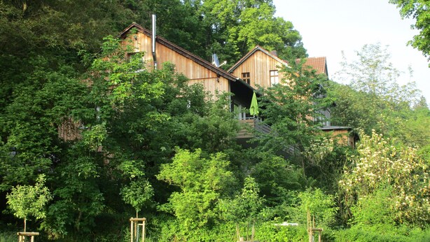 Una casa de madera rodeada de abundante vegetación y árboles.