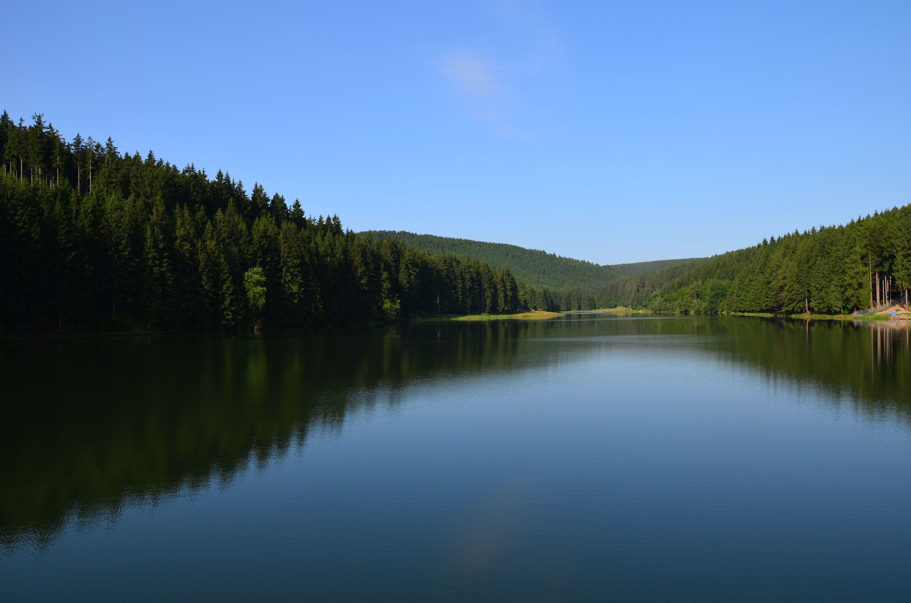 En stilla sjö omgiven av tät skog.