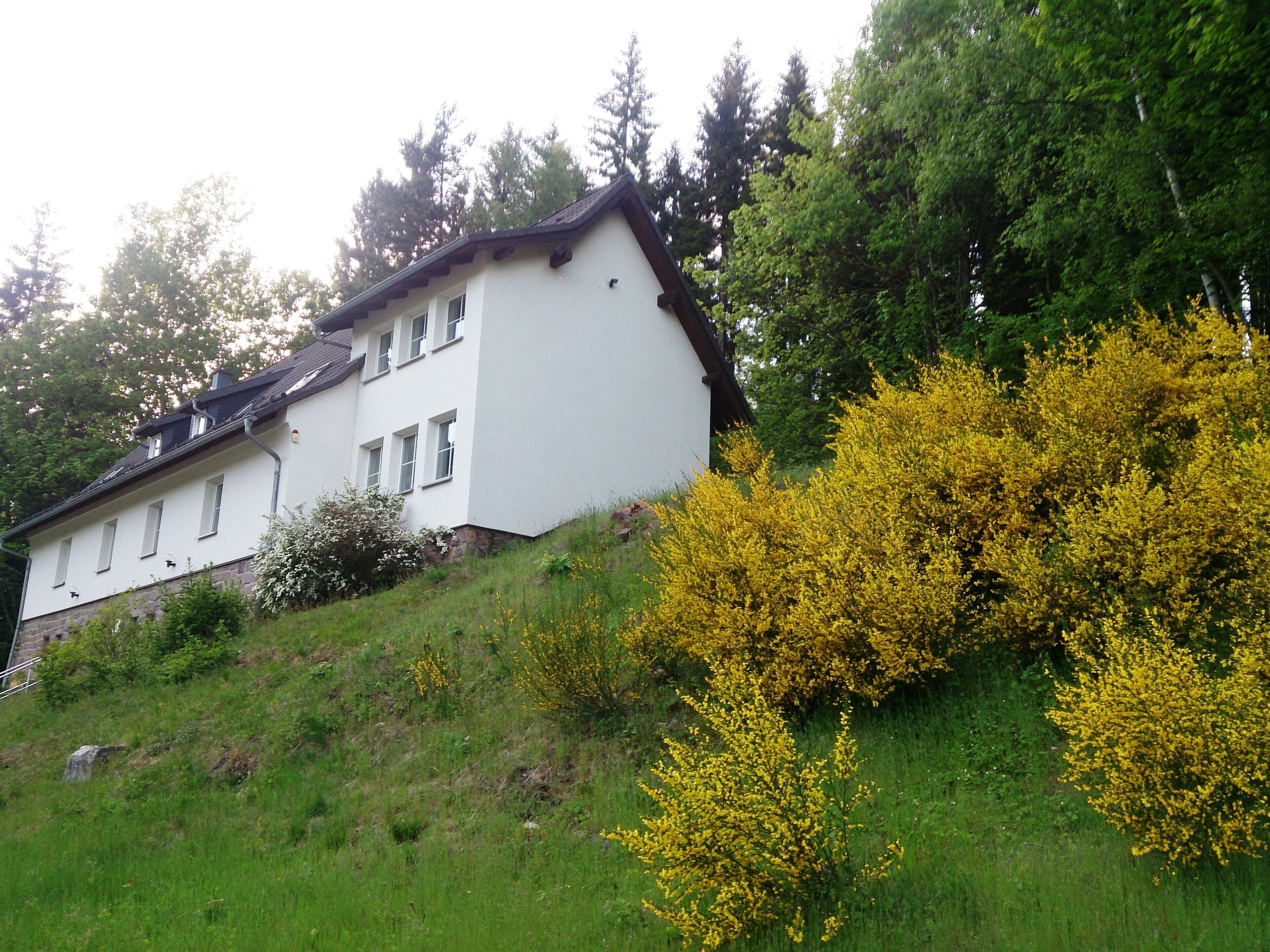 A white building with multiple windows and a sloped roof, surrounded by green grass and yellow flowering bushes.