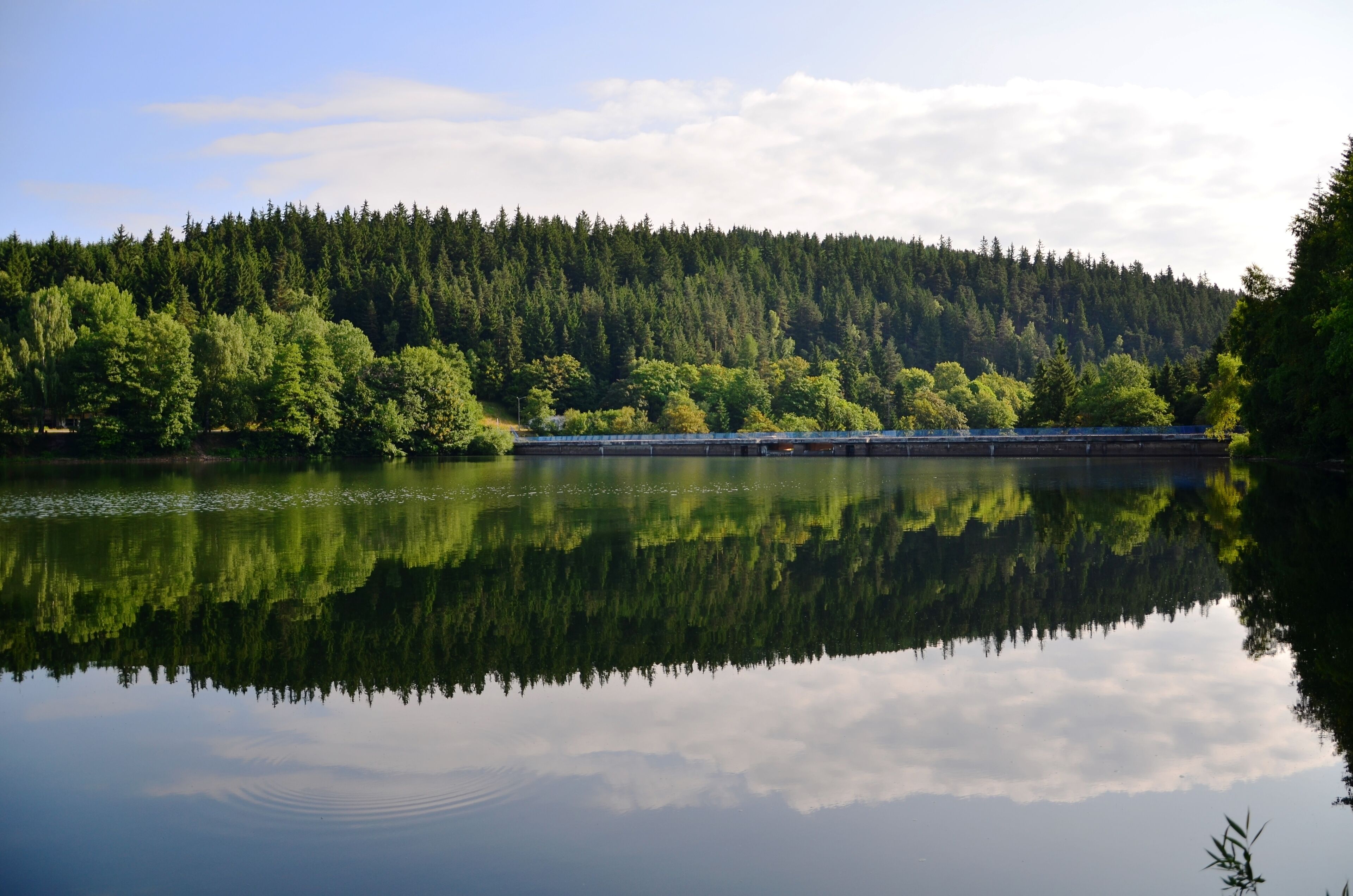 Un lac paisible qui reflète une colline boisée.