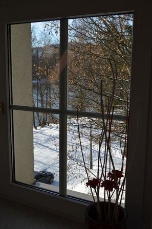 Una ventana con vista a un paisaje nevado y árboles desnudados.