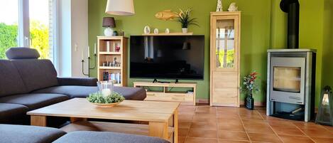 تلفزيون، مدفأة، كُتُب، ستيريو