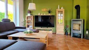 TV, fireplace, books, stereo