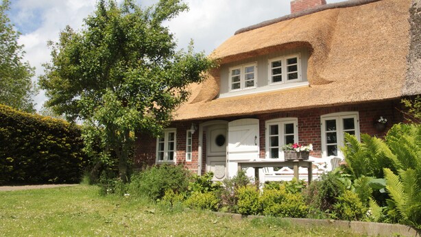 Una casa tradizionale con tetto di paglia, facciata in mattoni, portico anteriore e giardino con diverse piante e un albero.