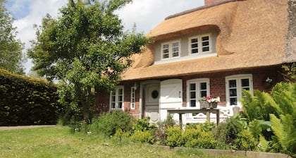 Fantastic thatched cottage on the North Sea coast with a separate sauna house