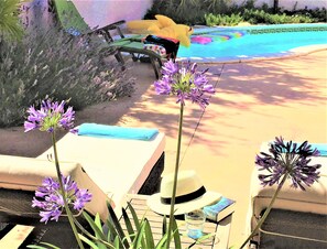 Relax by the pool surrounded by a beautifully maintained garden and lounge area.