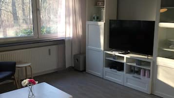 テレビ、DVD プレーヤー、ステレオ