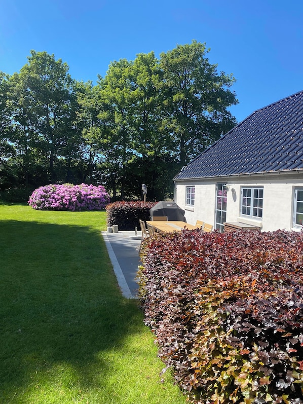 Una casa con techo de tejas, césped y jardín con flores moradas y follaje rojo.