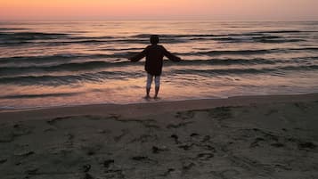 Playa en los alrededores y camastros