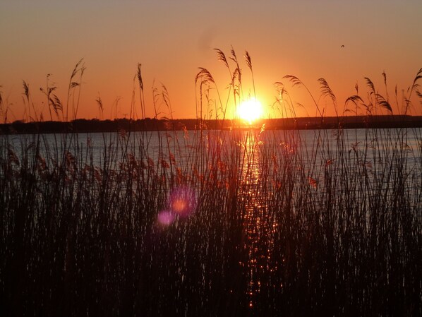 Un atardecer sobre un cuerpo de agua, con pastos altos en primer plano.