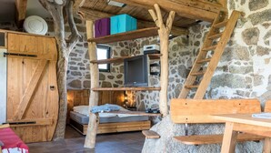L’intérieur d’un chalet rustique, avec un mur en pierre, des meubles en bois, un lit, un téléviseur et une échelle.