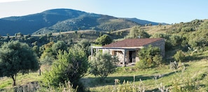 Exterior - Authentic holiday home in a quiet location 10 minutes from the beach (Serra-Di-Ferro)