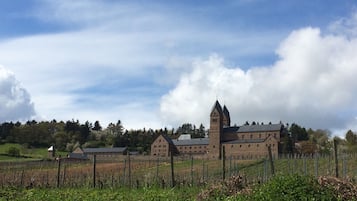 A large, historic building with a prominent tower, surrounded by a vineyard and a fence.