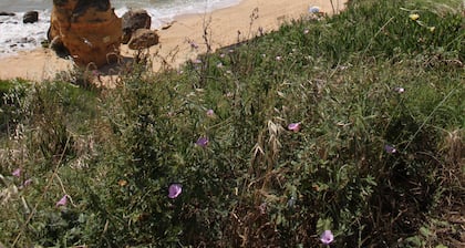 CASINHA da TRAVESSA - romantic studio-house, historical center, calm location