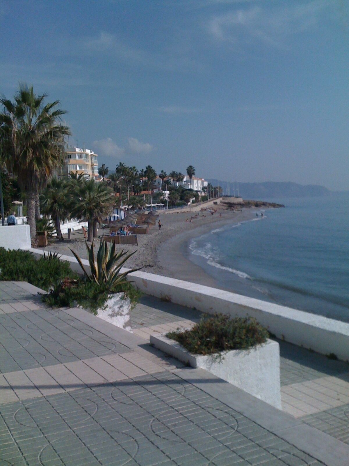 Un paseo marítimo con playa, palmeras y edificios al fondo.