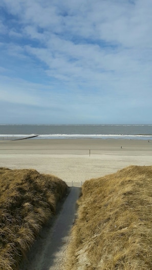 On the beach