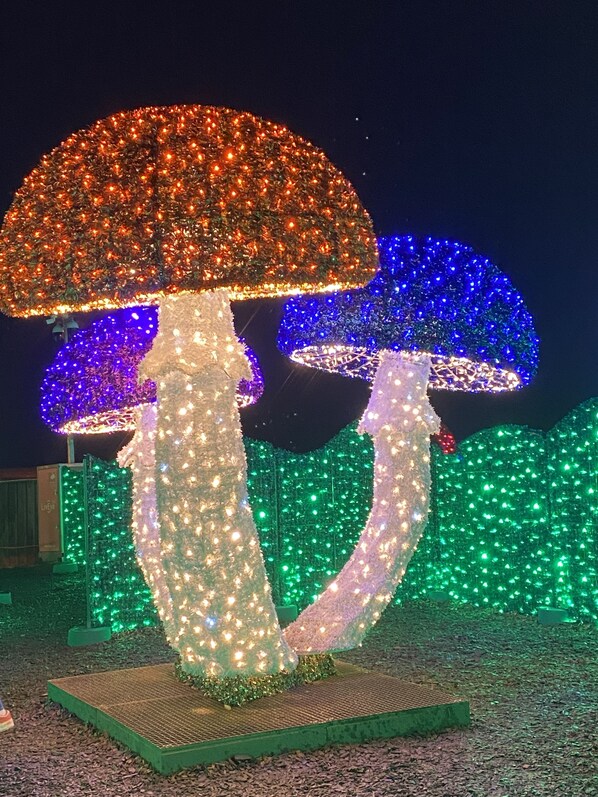 A large illuminated mushroom sculpture with multiple colors. - Vacation home on the Hohenfelden reservoir with its own jetty and rowing boat & electric motor (Hohenfelden)