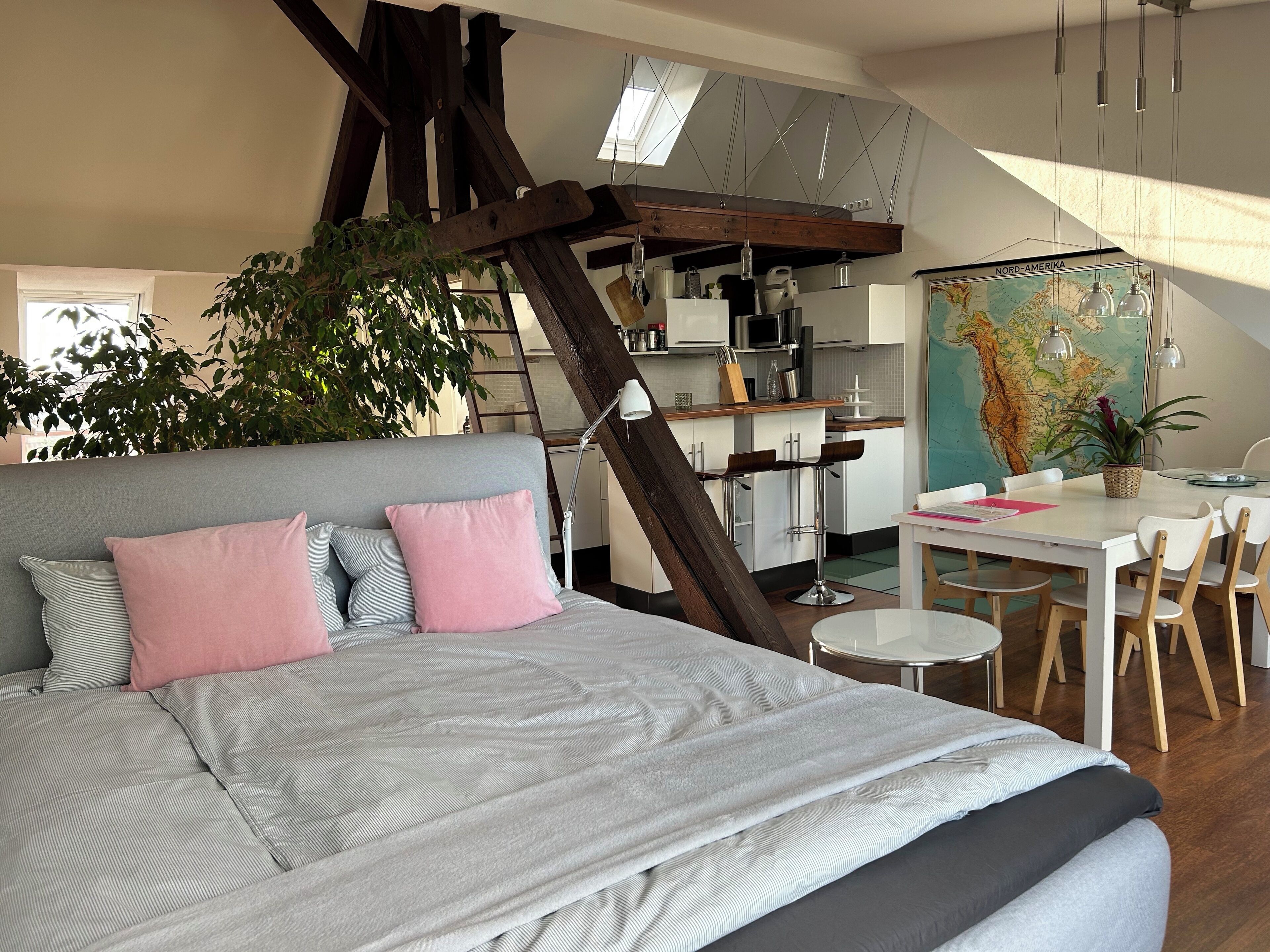 Roof studio in the central Geteviertel