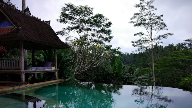 A infinity pool with a wooden deck and lounge area, surrounded by lush greenery and trees. - Tirta Asri Ubud Villa (Ubud)
