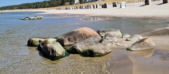 Cozy apartment with a small garden, close proximity to the beach and promenade