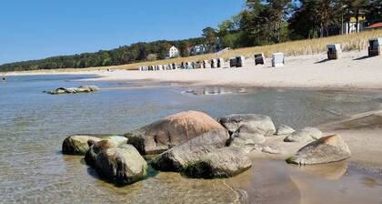 Gemütliche Wohnung mit kleinem Garten, unmittelbare Nähe zu Strand und Promenade