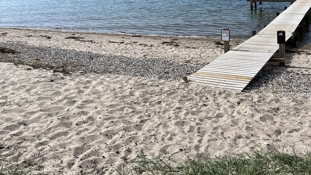 Une plage de sable avec une jetée en bois qui s’avance dans des eaux calmes.