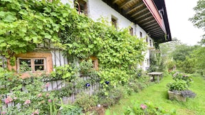 A traditional house with ivy-covered walls, a wooden bench, and a garden with various plants and flowers.