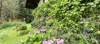 Hofatelier Menacher kunstgalerij - 55m² studio met galerij en terras