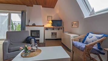 TV, fireplace, books