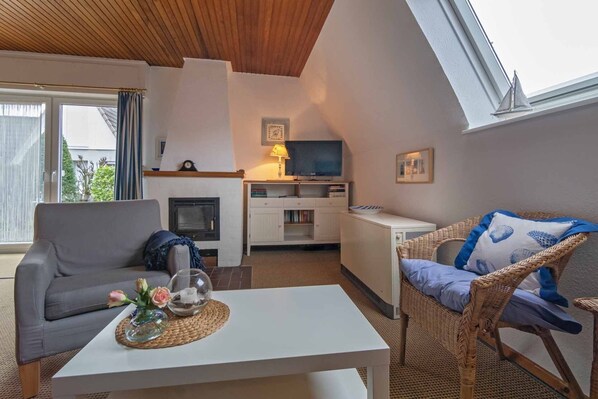 TV, fireplace, books