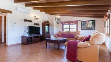 Televisie, een open haard en een tafeltennistafel