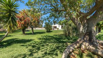 Terrein van de accommodatie