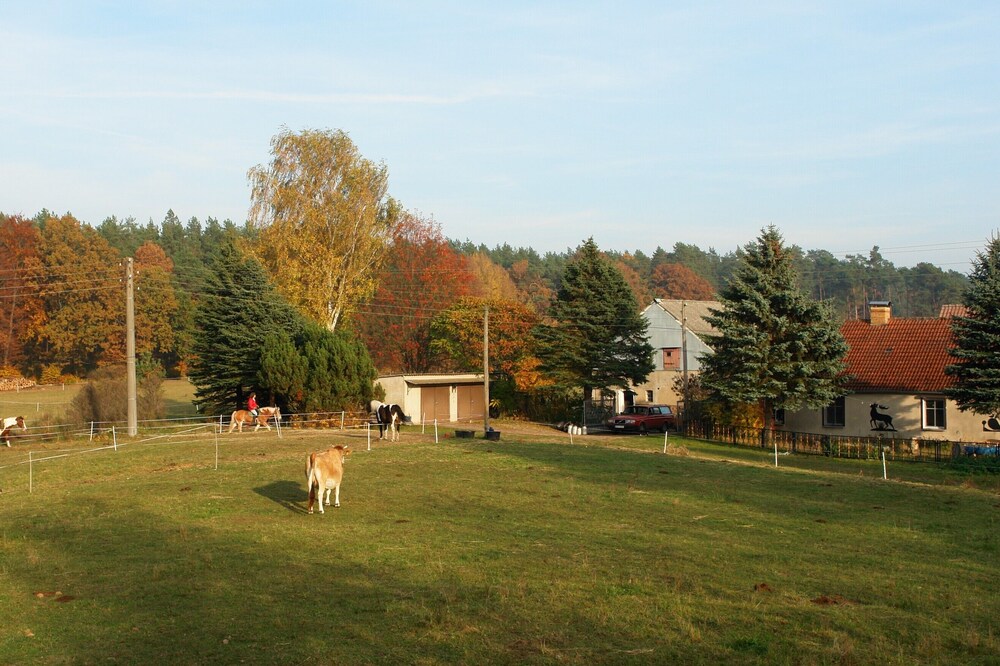 Apartment on a small farm in an outdoor location