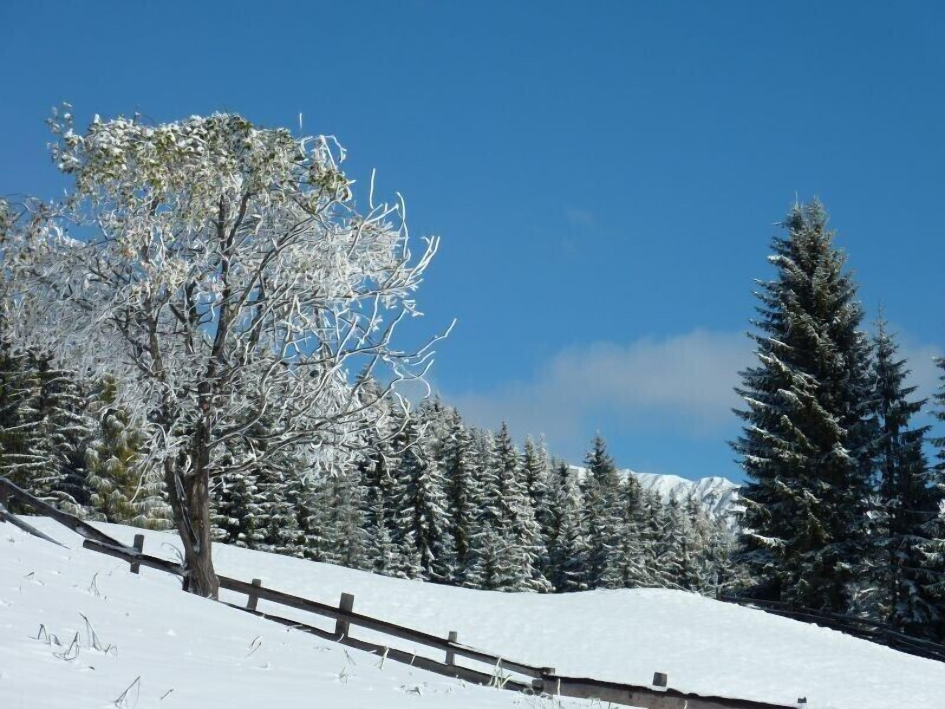Snow and ski sports