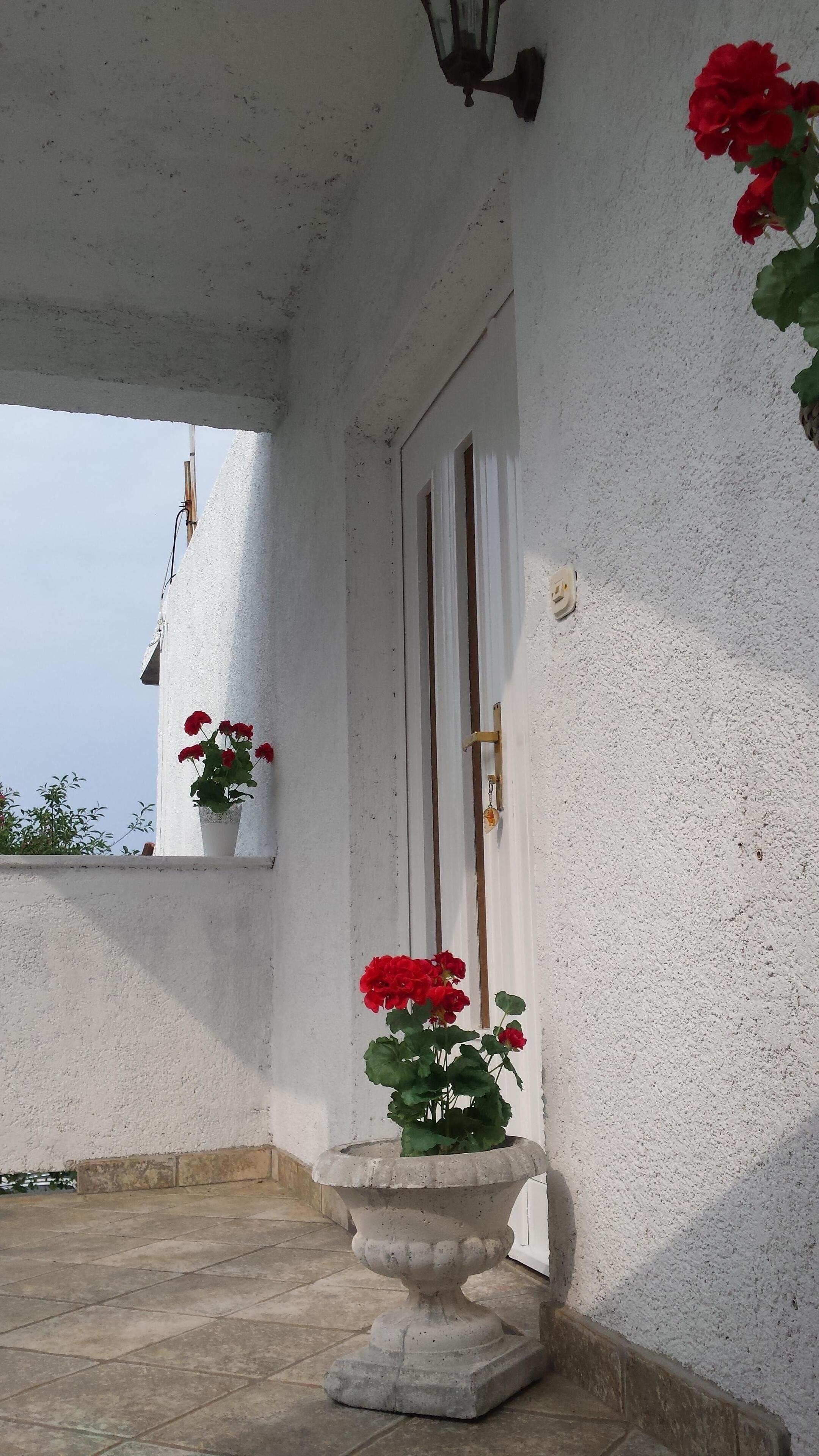 Detalle exterior