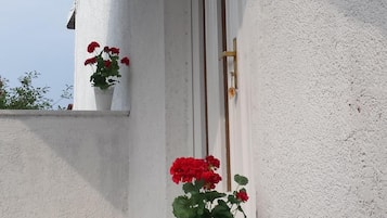 Detalle exterior