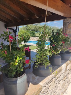 Exterior detail - Ideal for family holidays in traditional and quiet location (Pican)