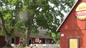 Um edifício vermelho com uma placa indicando Småland Markaryds Ålgsasafari. Há cadeiras de exterior e um caminho que leva ao edifício.